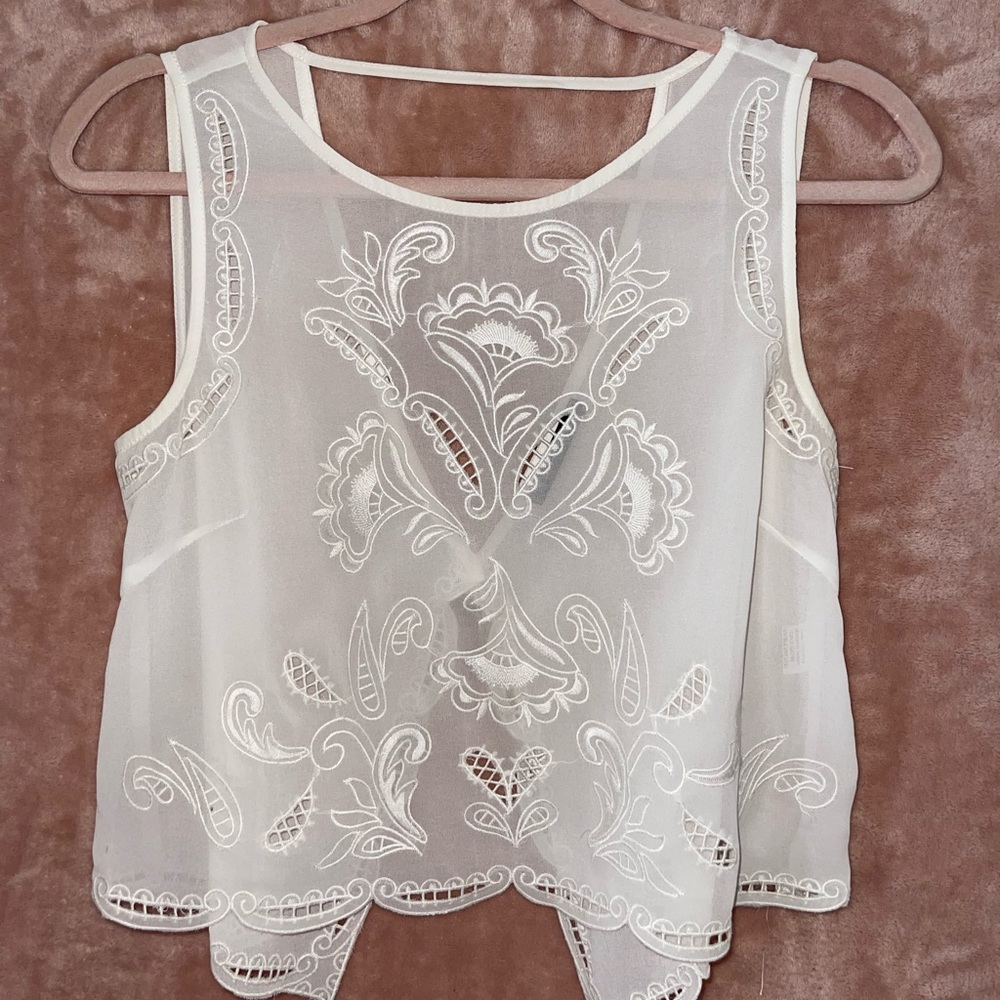 Brandy Melville sheer crop top
